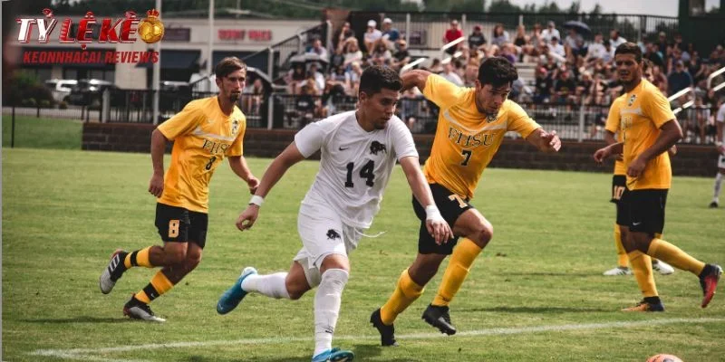 Hướng dẫn từng bước để tham gia thầu bóng đá